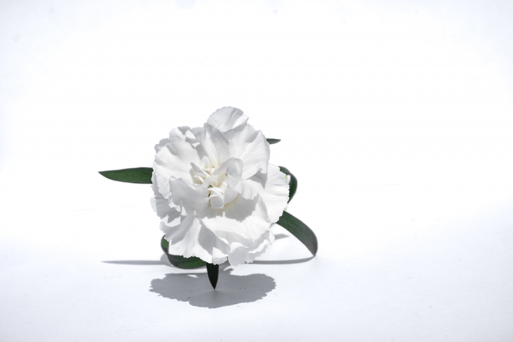 Bianco1
