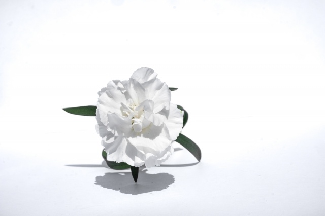 Bianco1