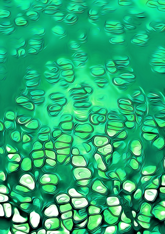 Natural Pattern
