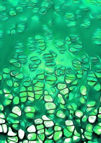 Natural Pattern