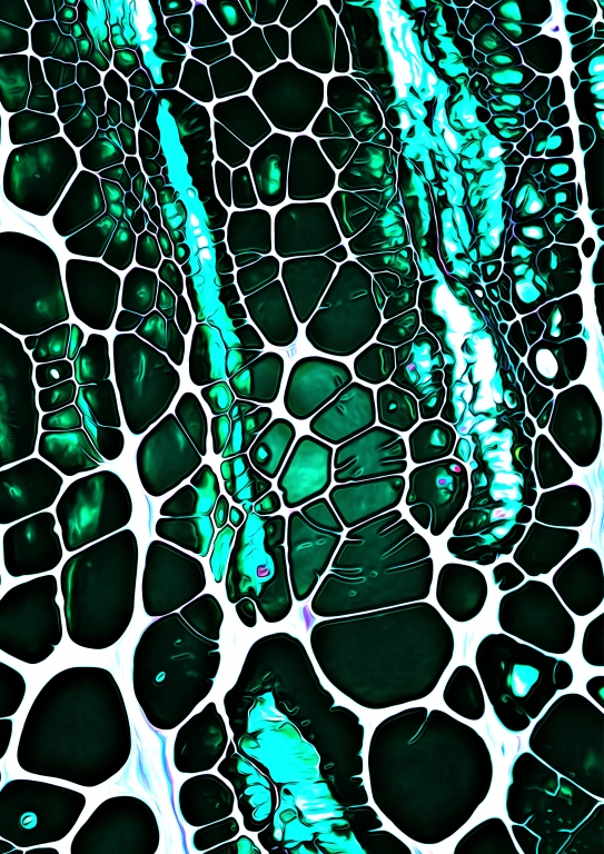 Natural Pattern