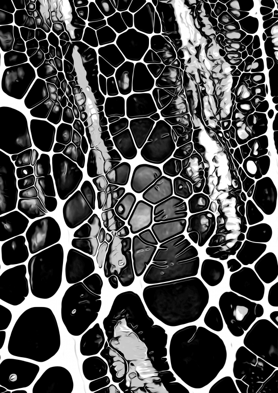 Natural Pattern