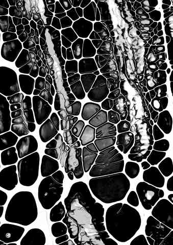Natural Pattern