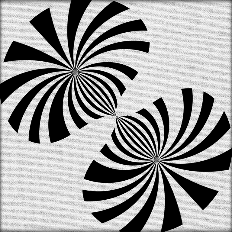 Fiori bianco e nero