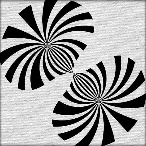 Fiori bianco e nero