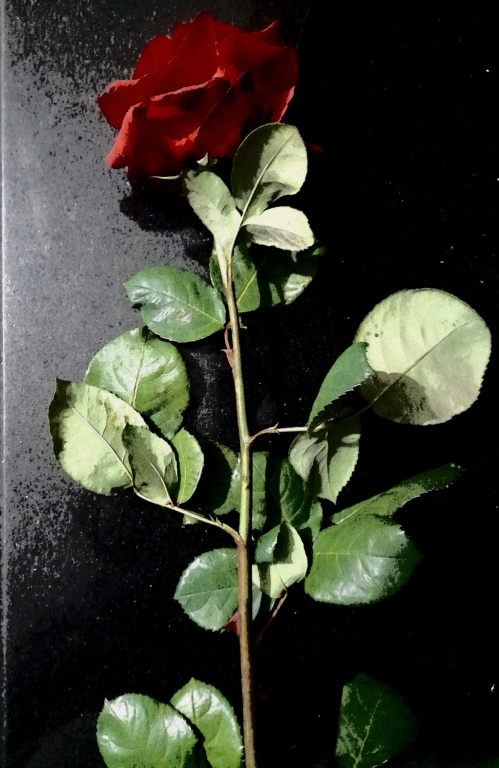 Morte e passione
