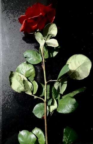 Morte e passione