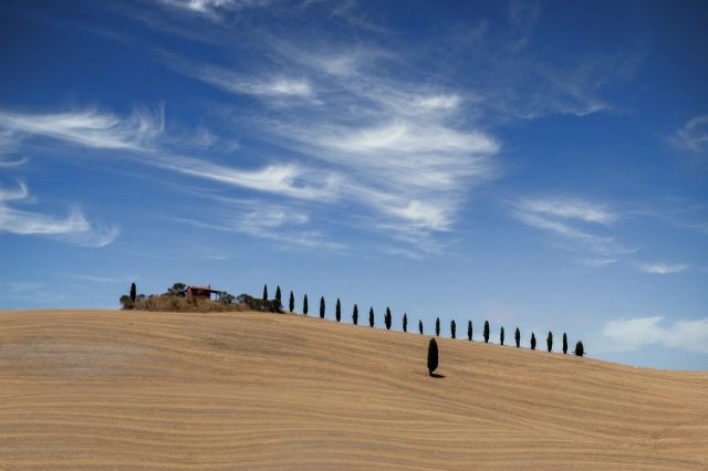 Paesaggio estivo della Val D Orcia