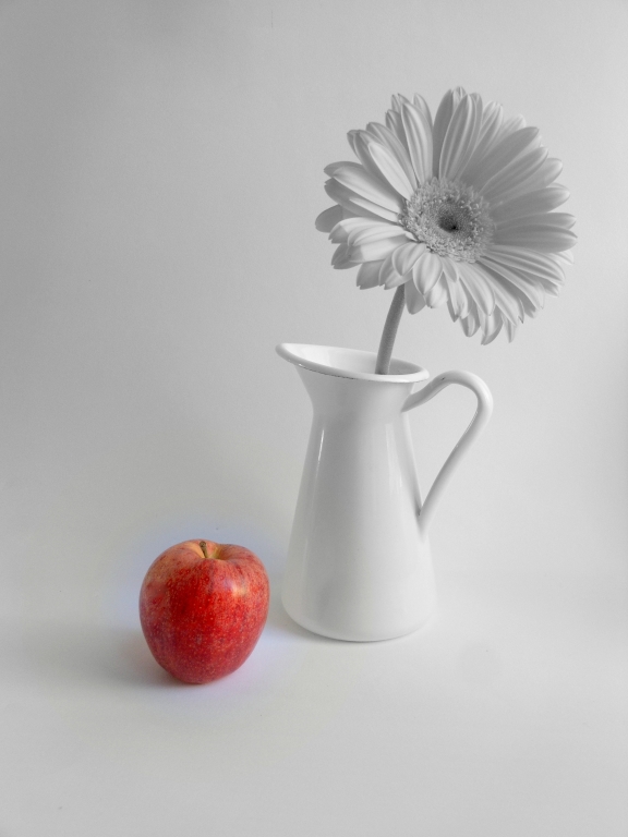 still life