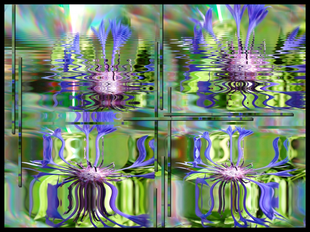 riflesso del fiore blu