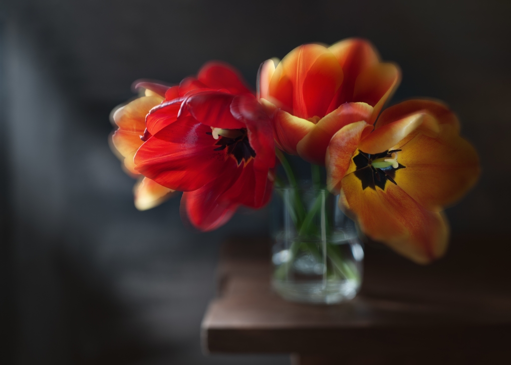 Fantasy with tulips in a dark style #2