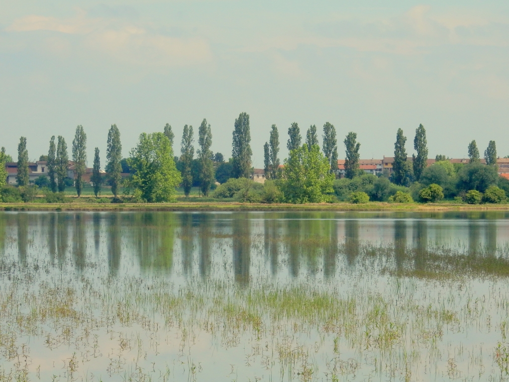 terre d'acqua e di riso