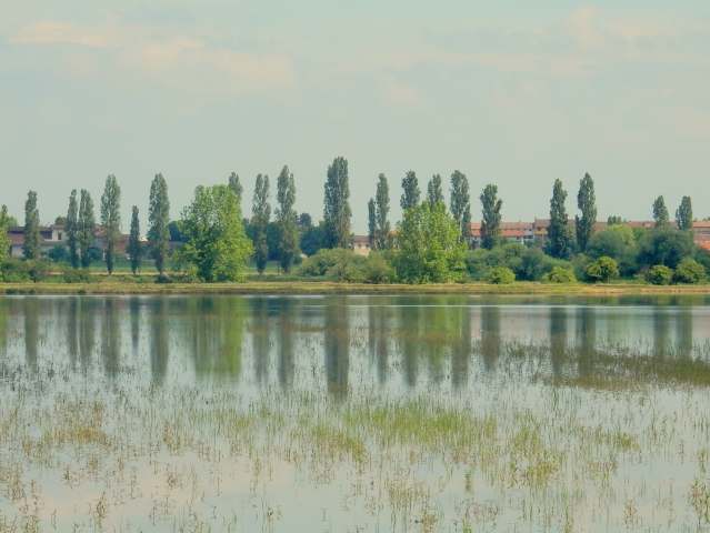 terre d'acqua e di riso