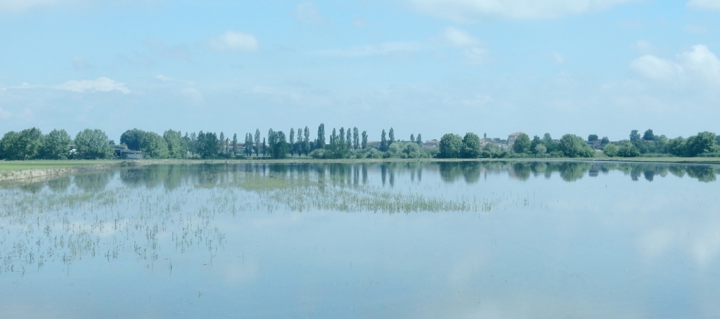 terre d'acqua