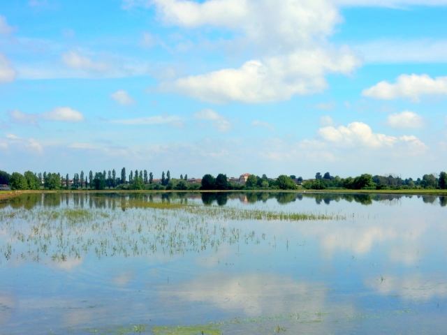 terre d'acqua · graziellataibi