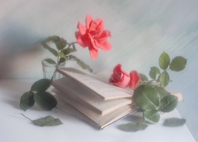 Roses and open book