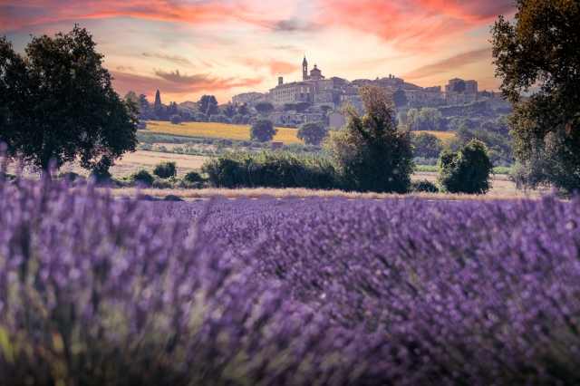 Profumo di lavanda con borgo sullo sfondo al tramonto