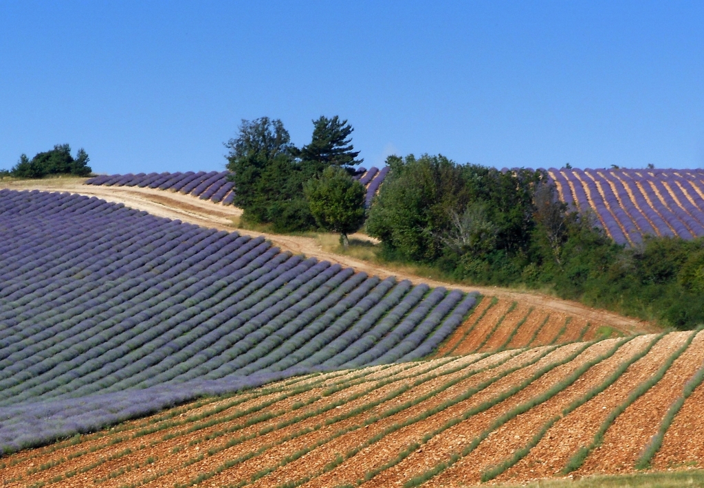 un jour en Provence