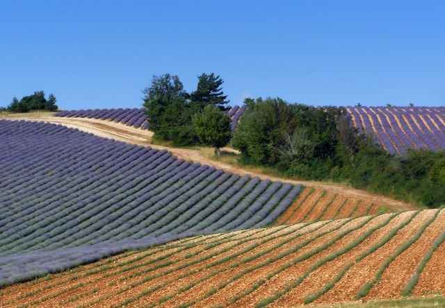 un jour en Provence