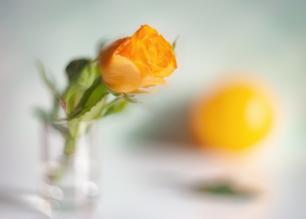 Yellow Vitamin Mood
