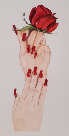 Red Rose