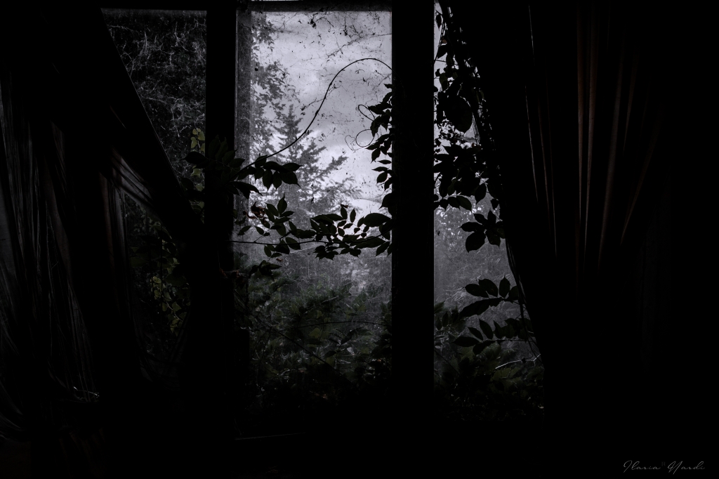 The last of us mood