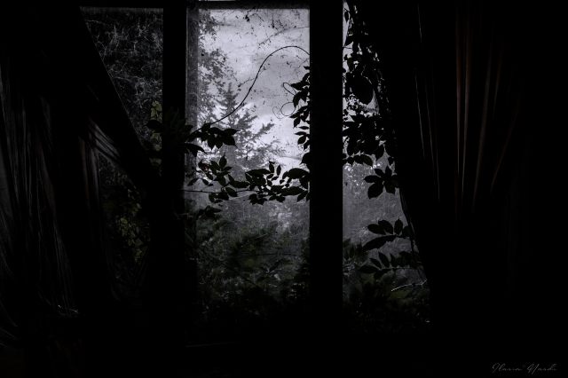 The last of us mood