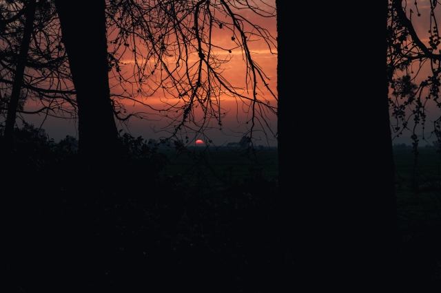 Rosso Di sera
