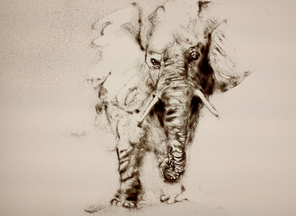 Eelephant