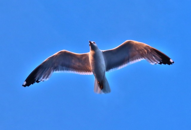Baciato dal sole · eugeniacarossa