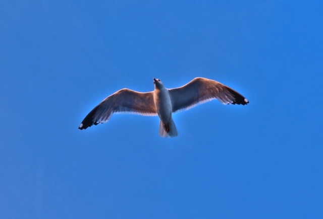 Baciato dal sole · eugeniacarossa
