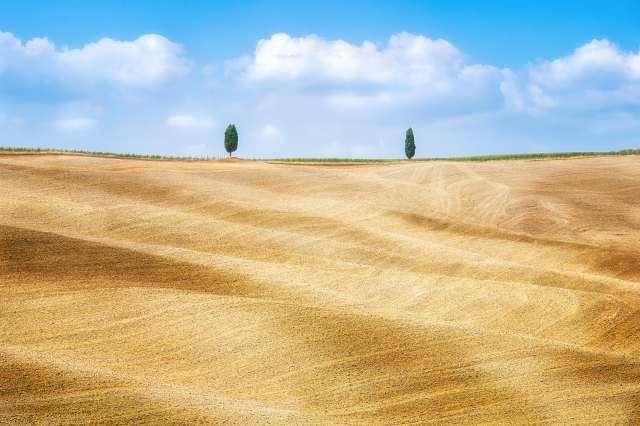 Colline toscane
