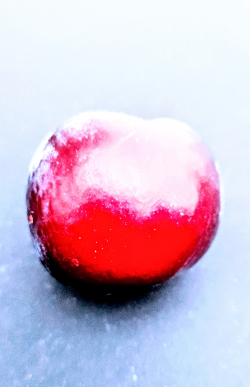 Fruit of the moon