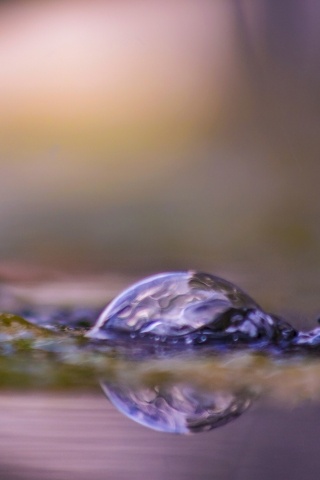Acqua