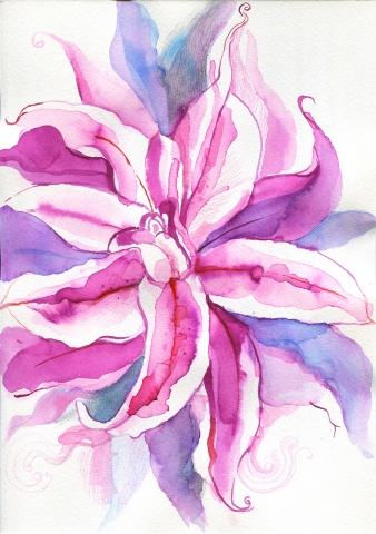 LILIUM.3