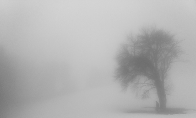 Nebbia su neve