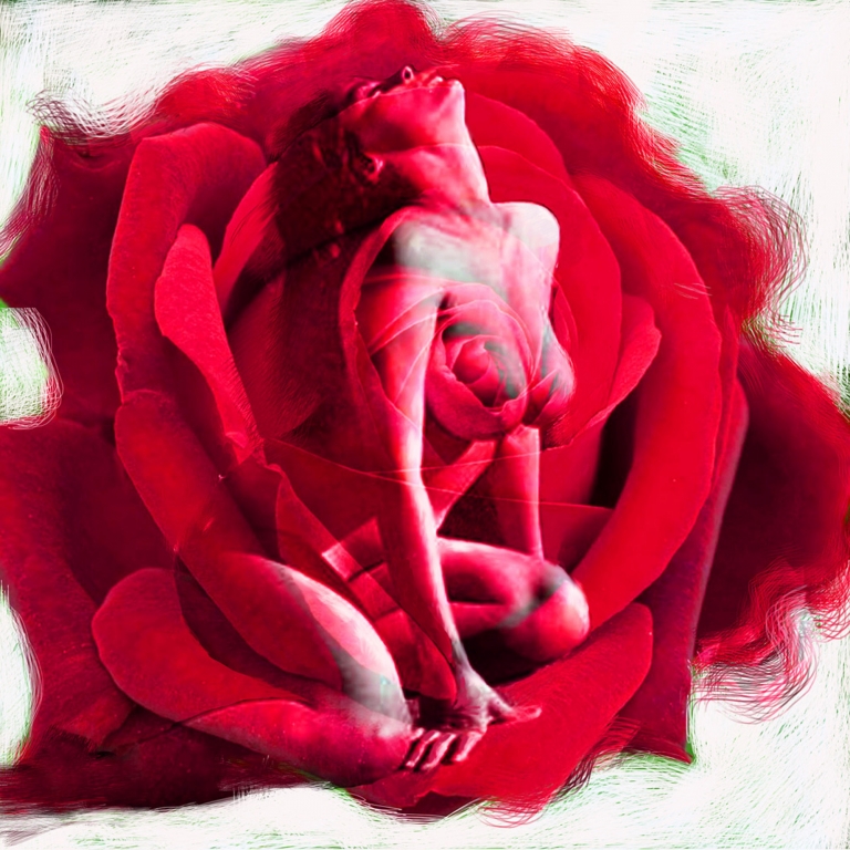 Flower Ladies/2