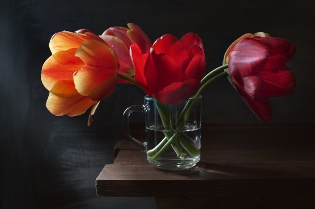 Large tulips in a small mug