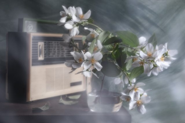 Retro Jasmine Mood