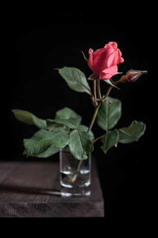 About a rose and black.