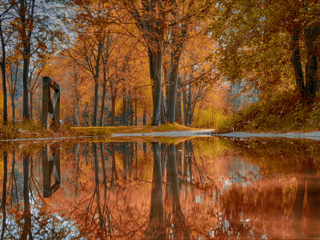 Riflessi d'autunno