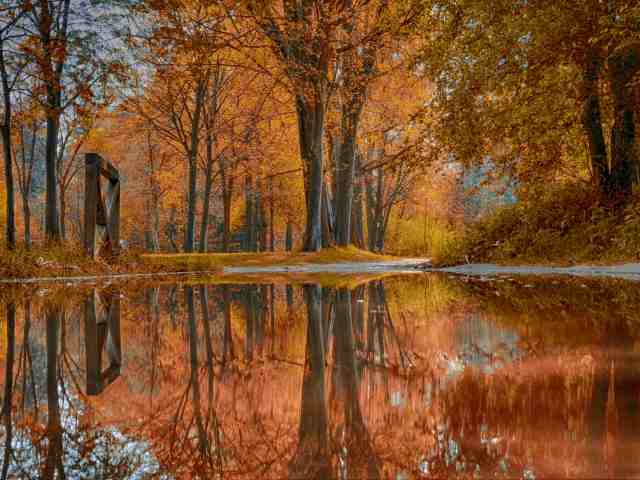 Riflessi d'autunno