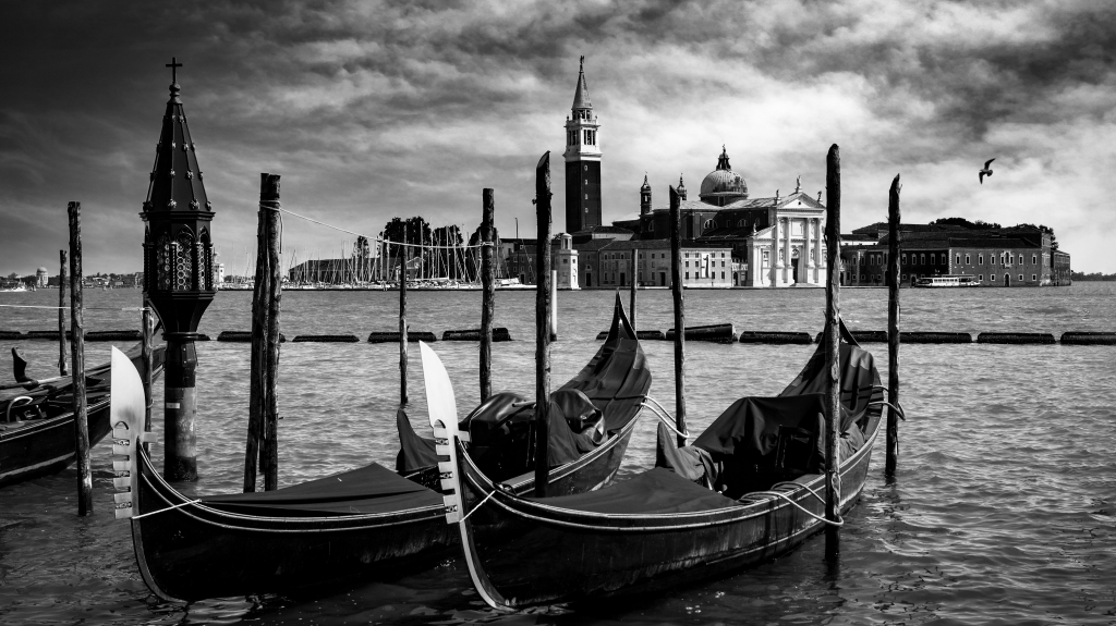 Venezia Fine Art