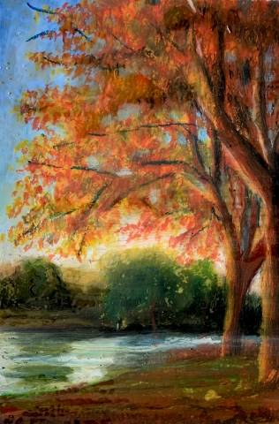 Schollebos in autunno