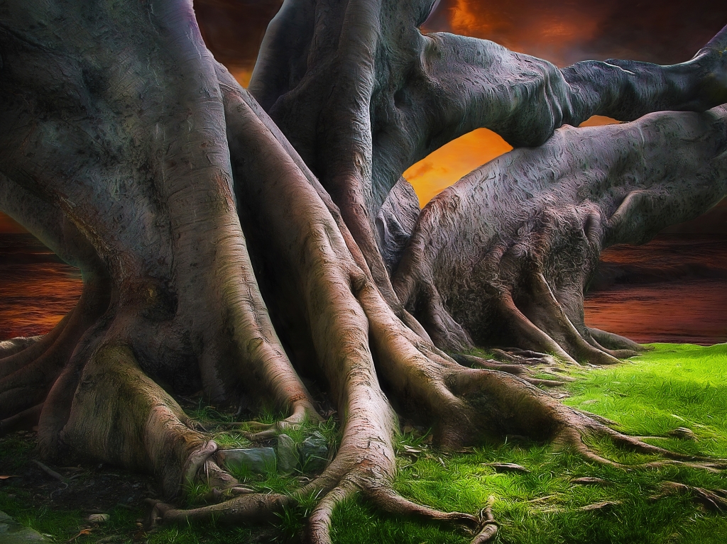 Dinosauri vegetali