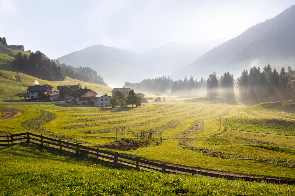 Campi con nebbia