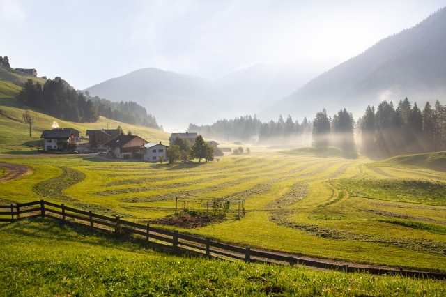 Campi con nebbia
