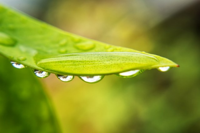 Gocce d'acqua
