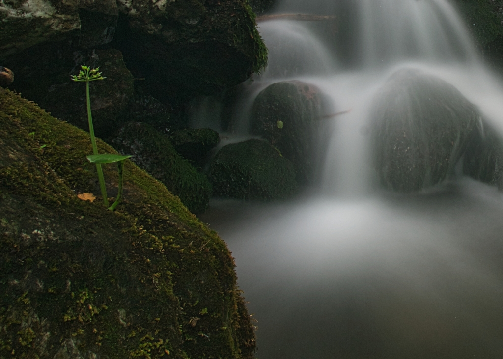 cascata setata