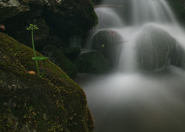 cascata setata